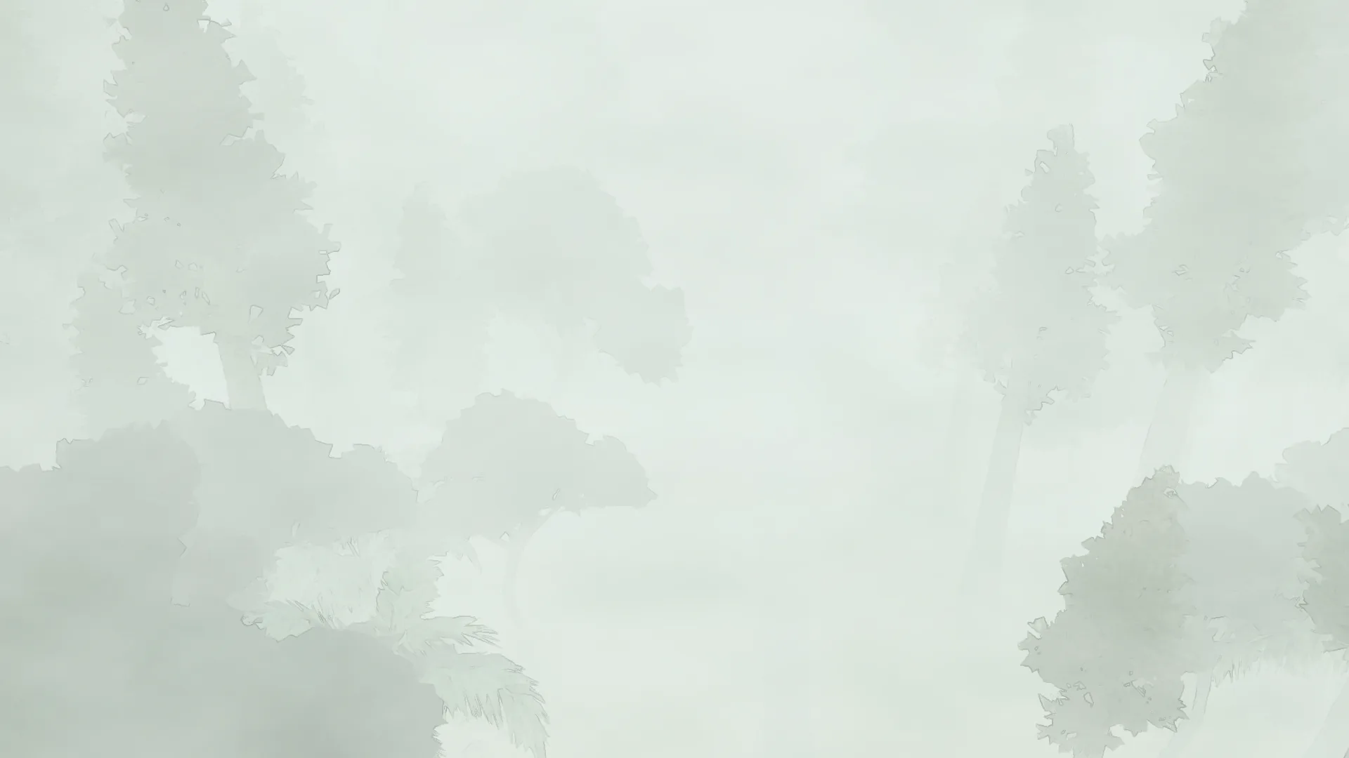 Pale mist over the tops of a native forest, the trees barely darker than the air.