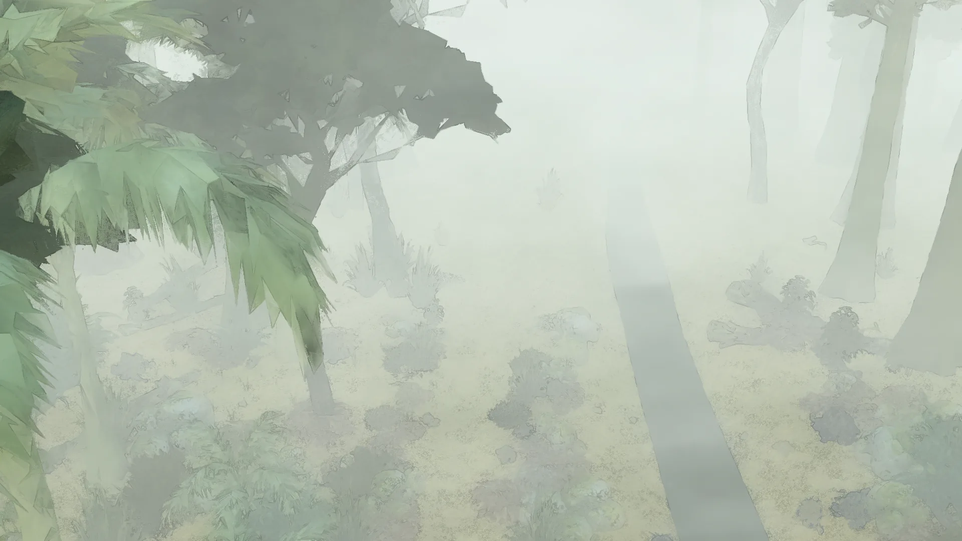 Looking down through nīkau fronds and misty trunks to the forest floor and the track.