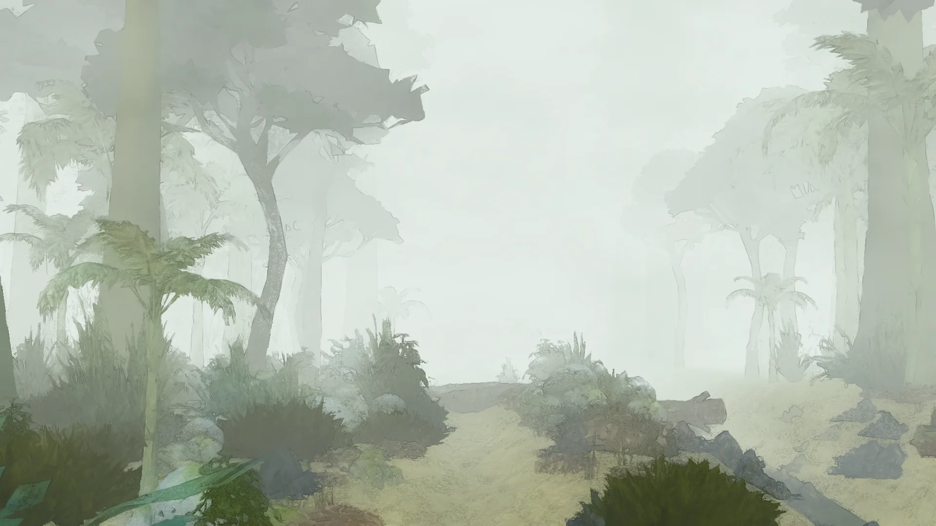 A tree fern and dark shrubs beside a pale track, tall trunks fading into mist.