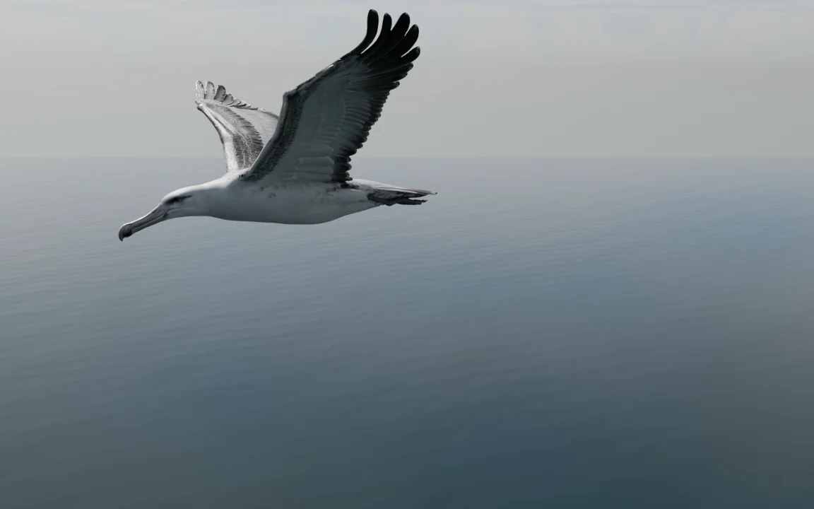 An albatross gliding low over a calm grey sea.